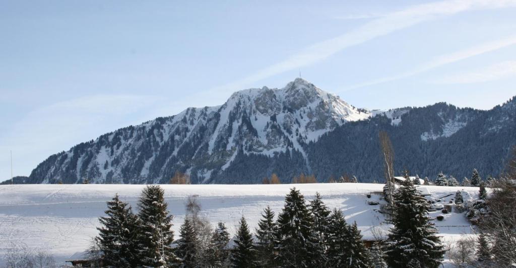 Residence Castel Club Leysin Parc Exterior photo